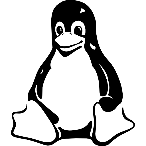 Expertise systèmes Linux, installation de serveurs et administration Open Source.
